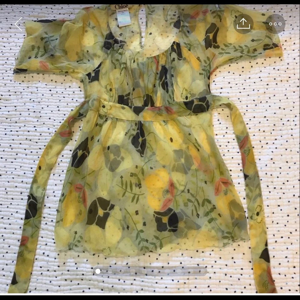 Chloe sheer blouse
